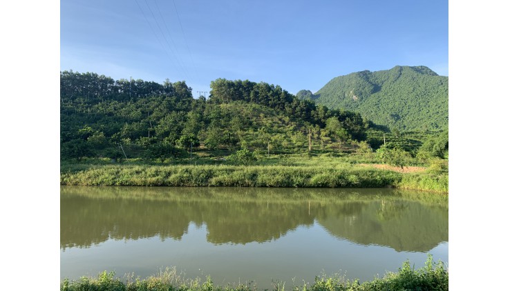 Bán siêu phẩm 40.000m đất  tại Lạc thuỷ view núi có ao làm sinh thái
